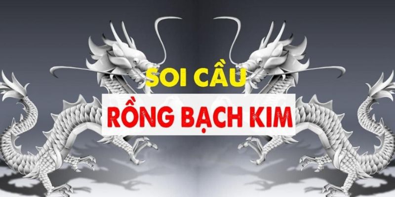 Khám phá chiến lược soi cầu hữu hiệu tại Rồng Bạch Kim