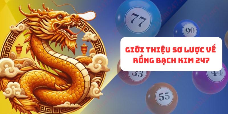 Khám phá thông tin về Rồng Bạch Kim 247